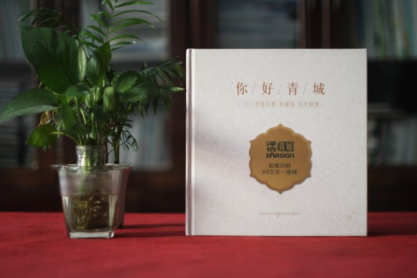 澤信控股企業(yè)紀(jì)念冊(cè)郵冊(cè)定制-公司宣傳畫冊(cè)設(shè)計(jì)