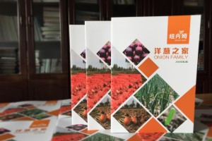 【500強(qiáng)企業(yè)】怎樣設(shè)計公司內(nèi)部期刊雜志,期刊欄目內(nèi)容怎么規(guī)劃