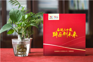 企業(yè)20年畫冊(cè)-公司廠慶回憶錄周年大事記書籍設(shè)計(jì)制作