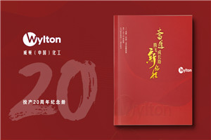 化工企業(yè)20周年紀(jì)念冊(cè)設(shè)計(jì)-公司整合發(fā)展大事記畫冊(cè)