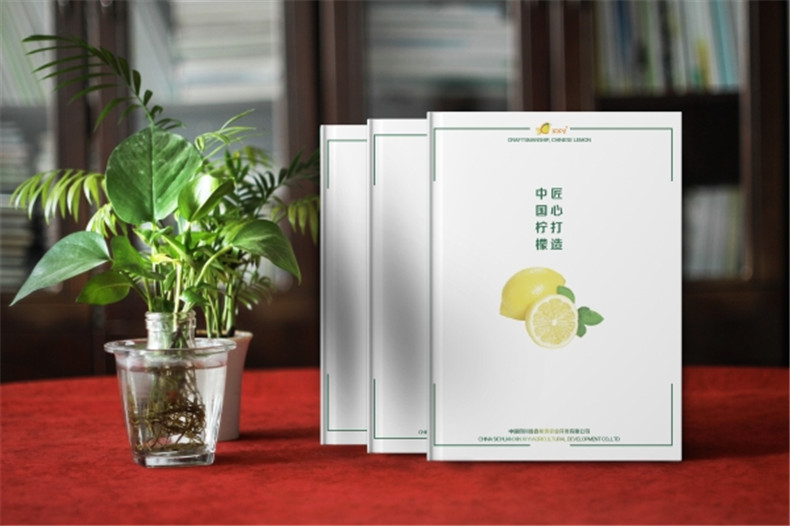 【水果宣傳冊(cè)設(shè)計(jì)】 農(nóng)業(yè)公司農(nóng)產(chǎn)品畫冊(cè)制作 樣本冊(cè)印刷