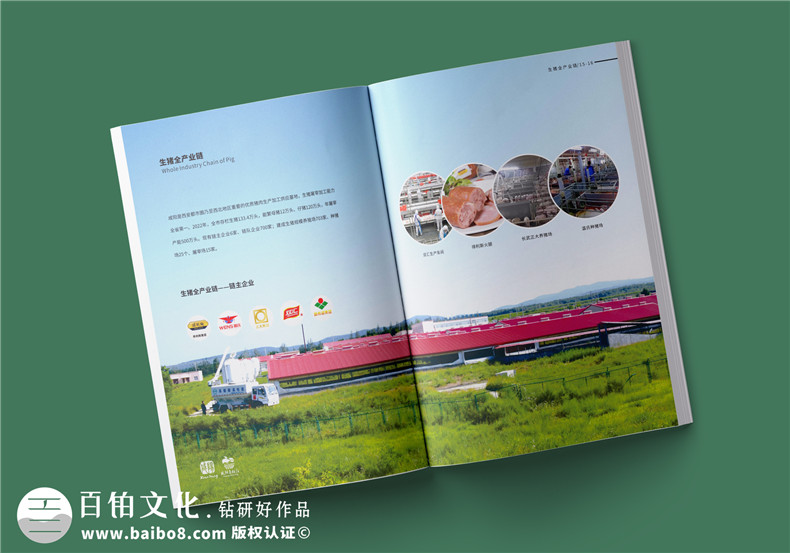 農業(yè)公司農產品宣傳冊怎么設計-農業(yè)產品宣傳冊設計方法