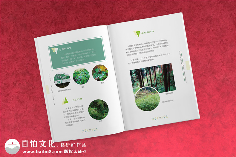 旅游企業(yè)畫冊設(shè)計的內(nèi)容分析第2張-宣傳畫冊,紀念冊設(shè)計制作-價格費用,文案模板,印刷裝訂,尺寸大小