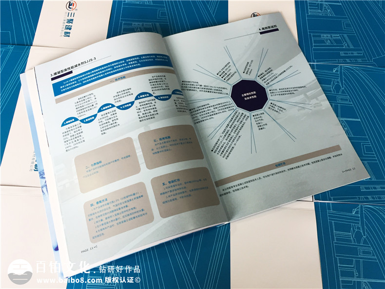 產(chǎn)品宣傳冊設(shè)計(jì)所需的圖文素材、制作材料第3張-宣傳畫冊,紀(jì)念冊設(shè)計(jì)制作-價(jià)格費(fèi)用,文案模板,印刷裝訂,尺寸大小