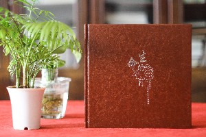 給即將退休的黨委書記干部做電子相冊-如何給領導做工作歷程集錦?