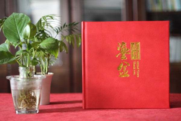 人社局長(zhǎng)退休離任紀(jì)念相冊(cè)-領(lǐng)導(dǎo)干部任職期間工作回憶畫(huà)冊(cè)