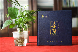 時光影像，情誼永恒——資產(chǎn)管理公司領(lǐng)導調(diào)任留念相冊