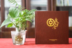 給掛職借調(diào)的領(lǐng)導做任職期間工作掠影事跡紀念冊-高升相冊留念設(shè)計