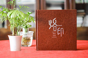 個人成長紀(jì)念冊制作 設(shè)計專業(yè)的紀(jì)念冊 紀(jì)念成長故事！